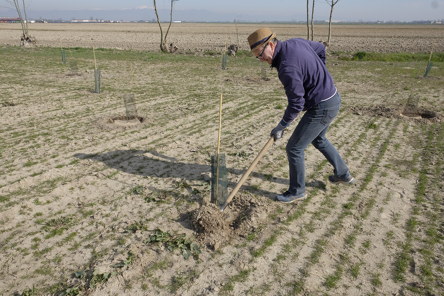 GEP 2021 | Creare un piccolo bosco